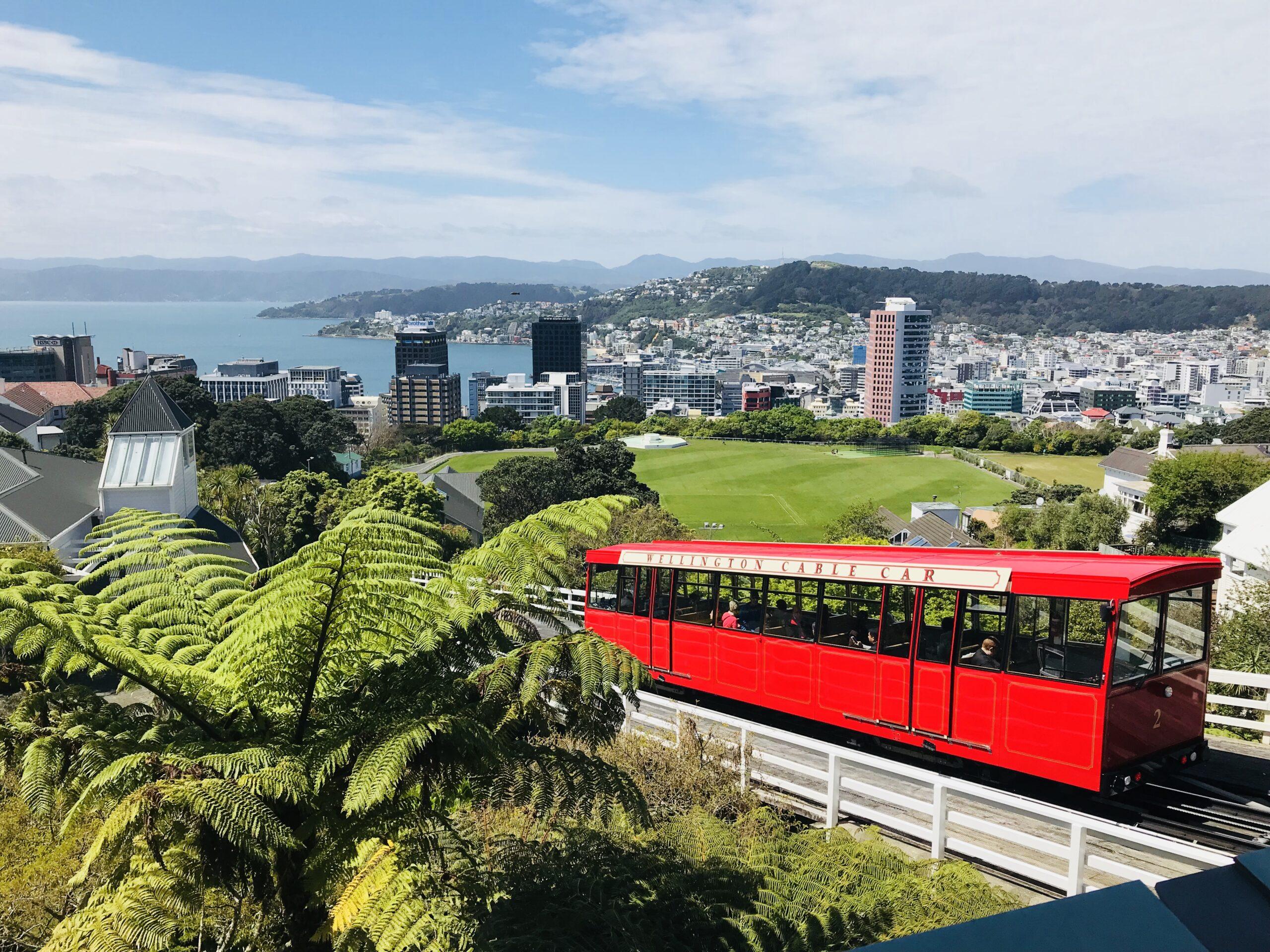 Best Things To Do In Wellington NewZealand